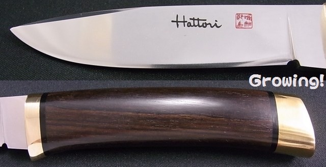 Hattori 3718